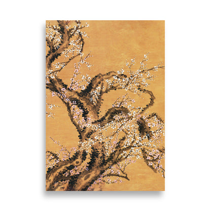 Poster - Red and white plum blossoms