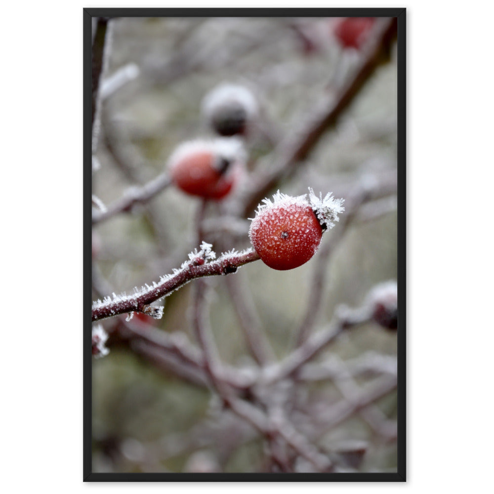 Poster - Winterbeeren II Kuratoren von artlia Schwarz / 61×91 cm artlia