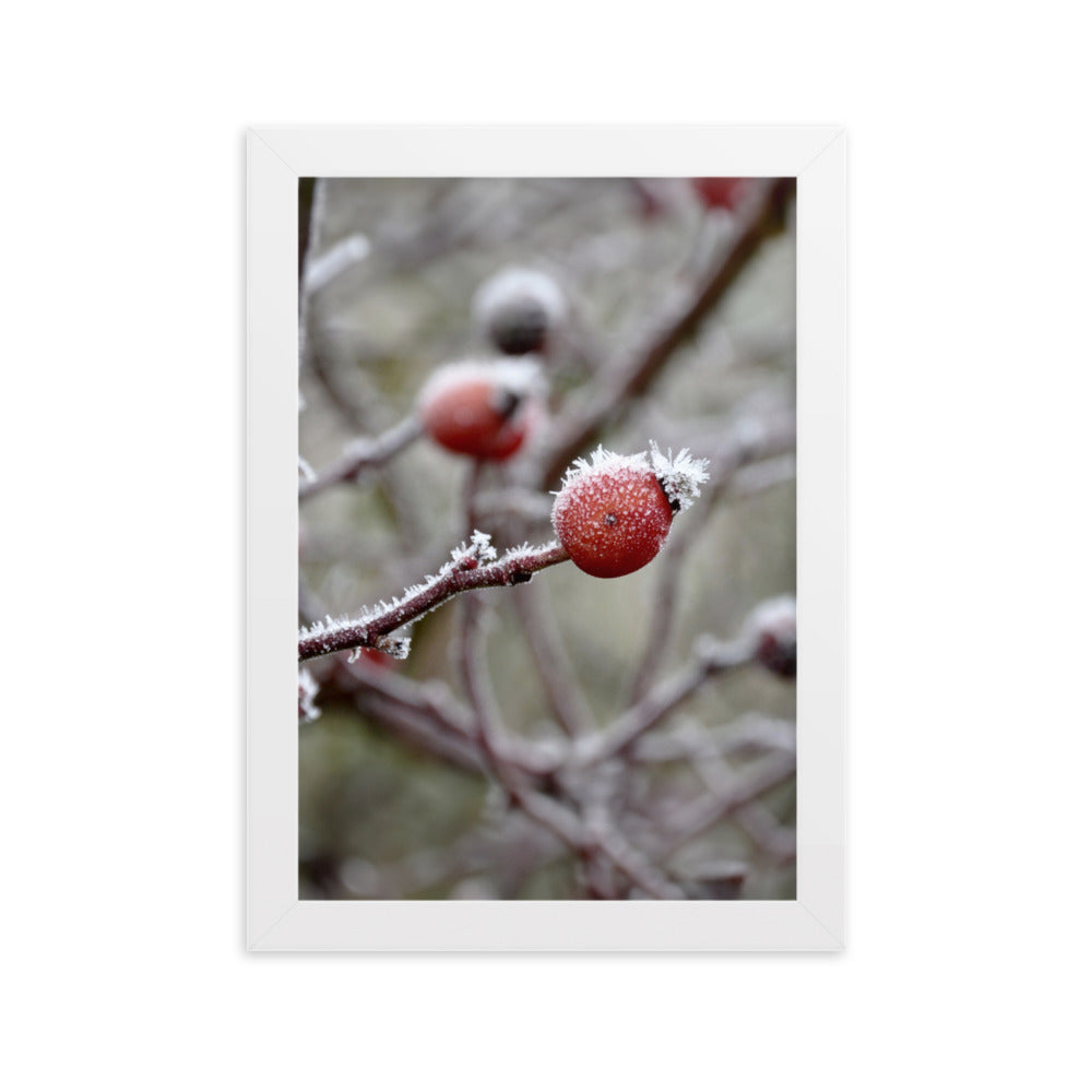 Poster - Winterbeeren II Kuratoren von artlia Weiß / 21×30 cm artlia