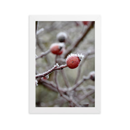 Poster - Winterbeeren II Kuratoren von artlia Weiß / 21×30 cm artlia